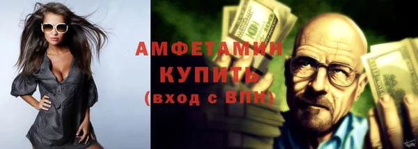 амф Бородино