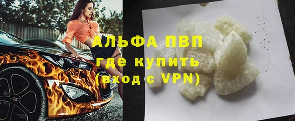 амф Бородино