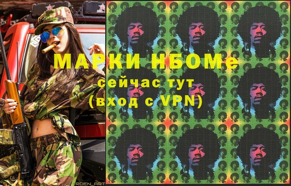амф Бородино